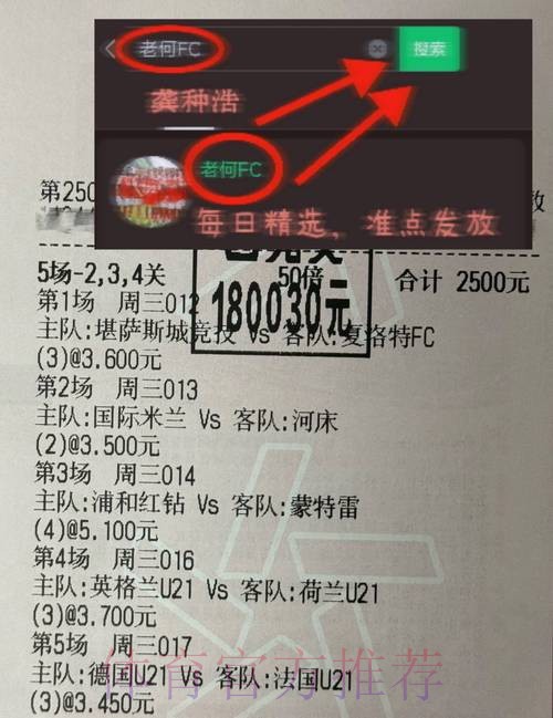 俄罗斯世界杯投注官网详解及安全指南